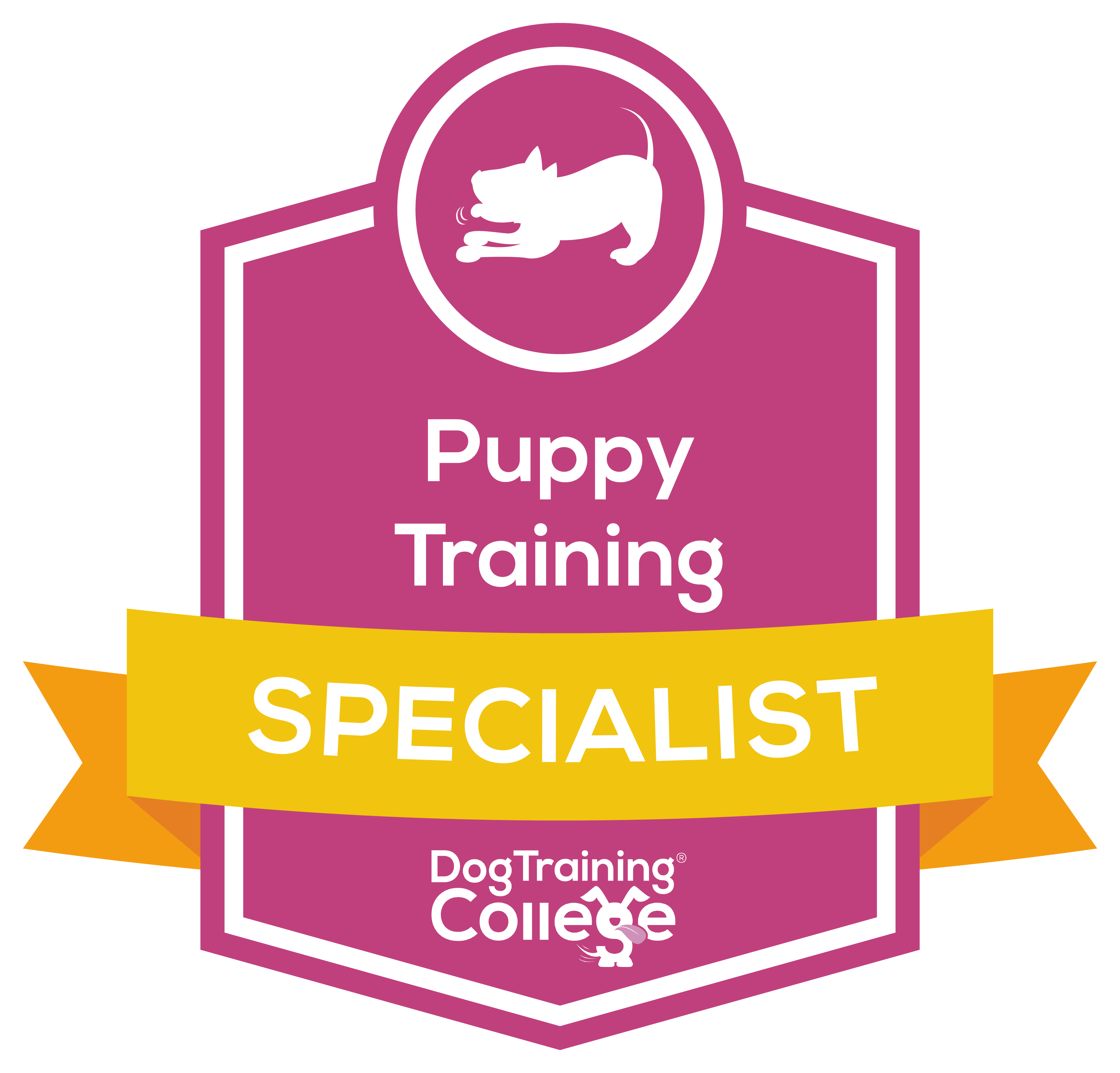 The Dog Training College Puppy Training Specialist
