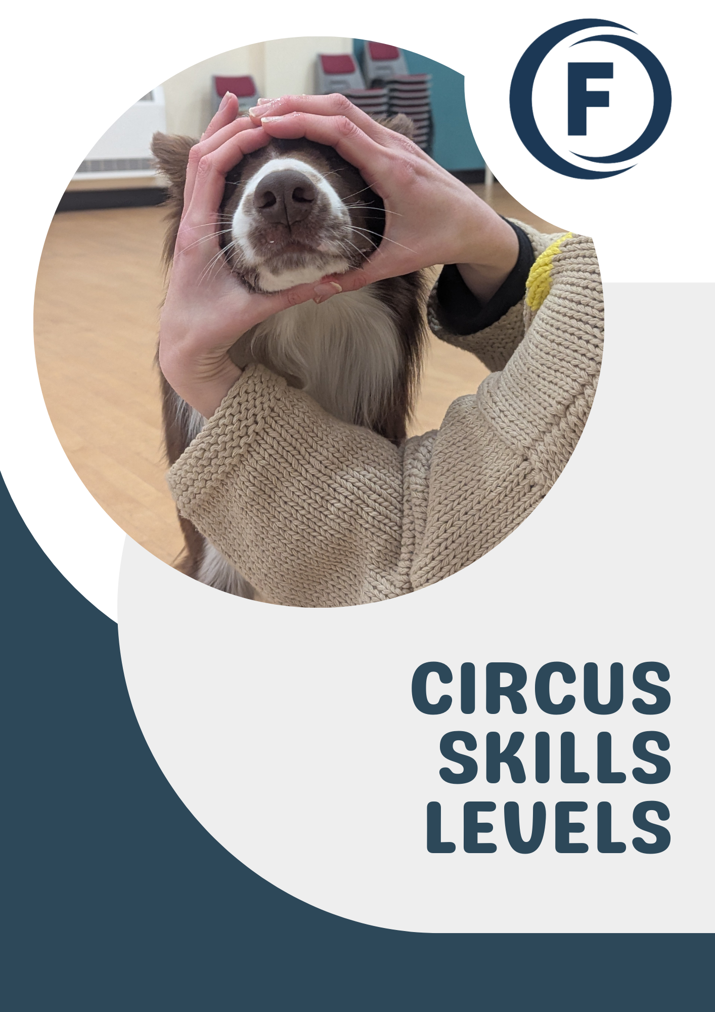 Focus Dog Training Trick Training Levels