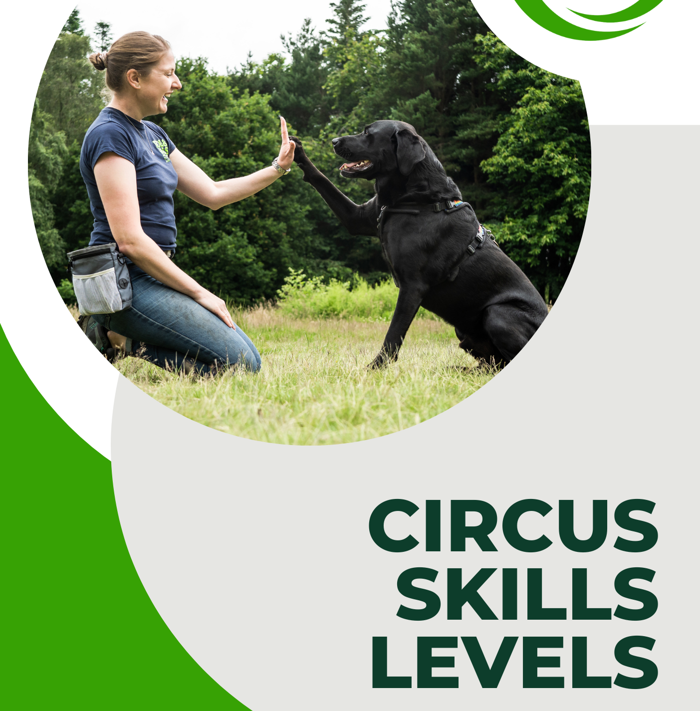 FDT - Circus Skills Levels