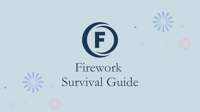 Firework Survival Guide image