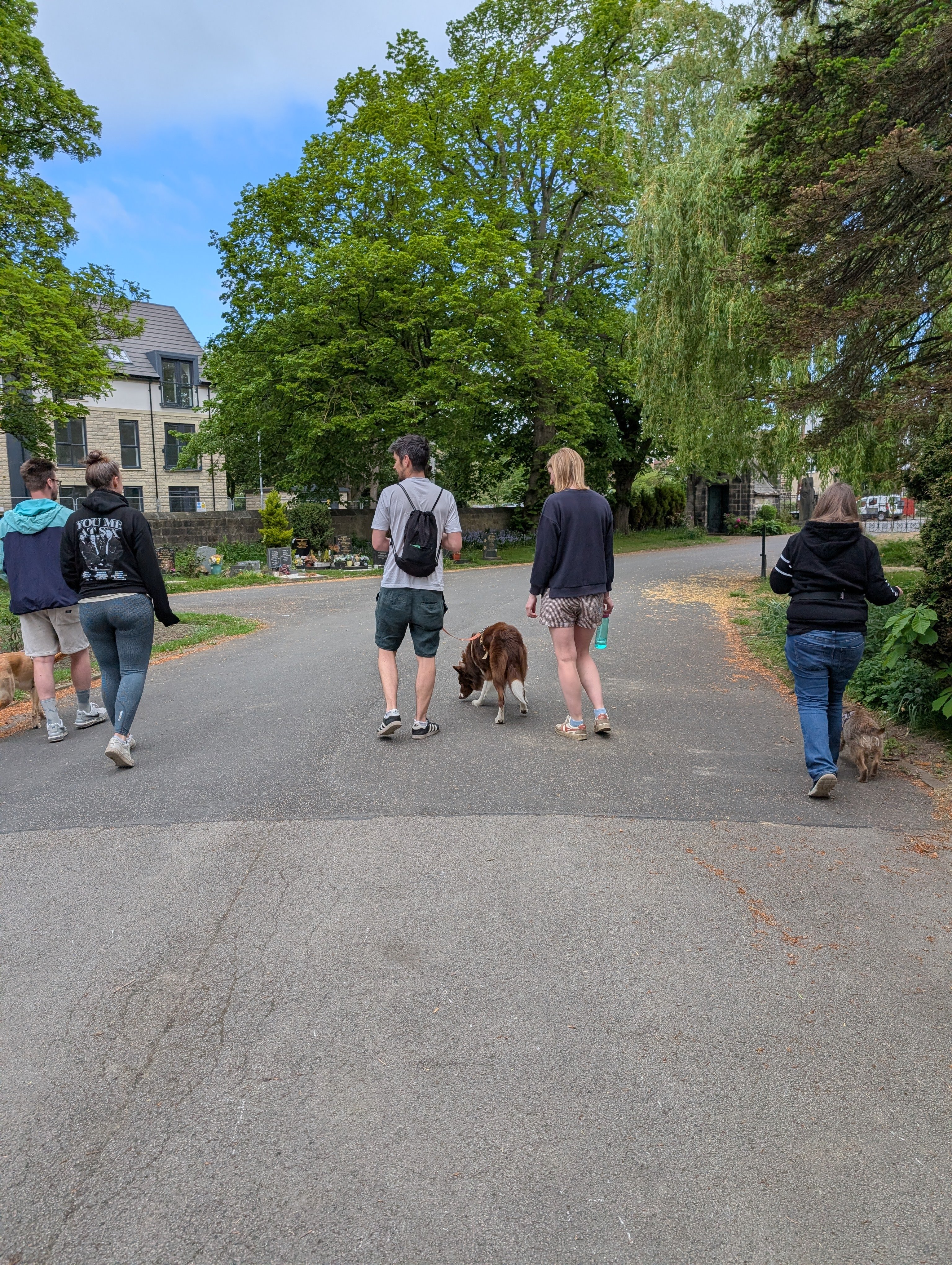 Reactive dog training leeds