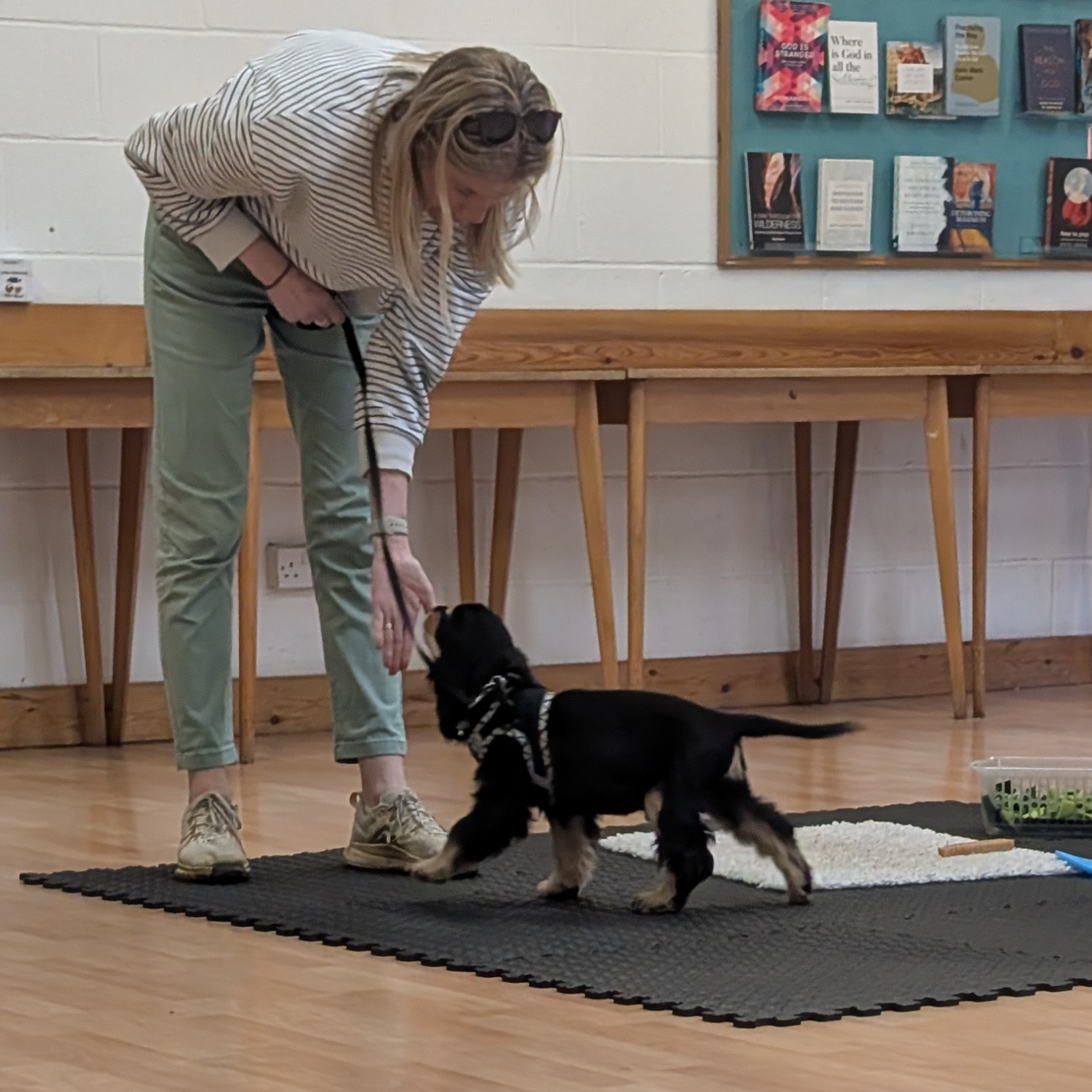 Puppy classes in Leeds