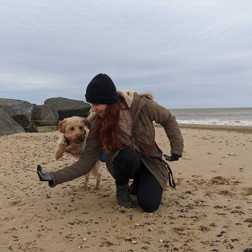 A blonde dog performing tricks on a beach