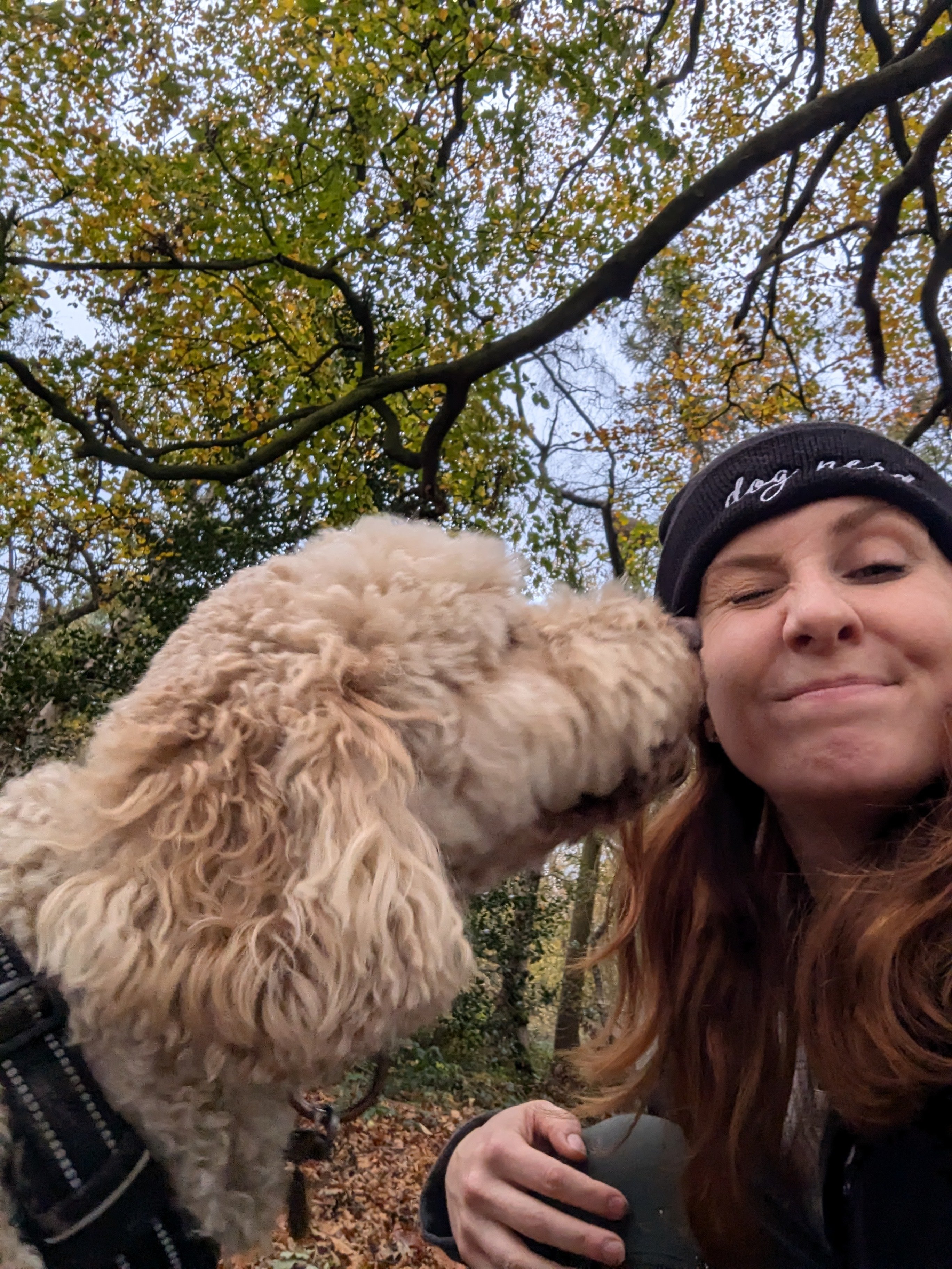 dog training and behaviour in leeds