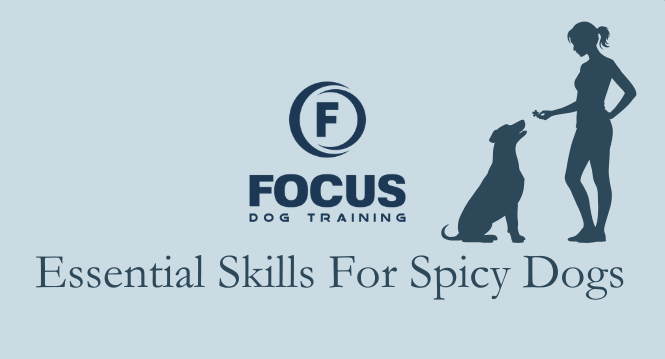 Essential Skills for Spicy Dogs! image
