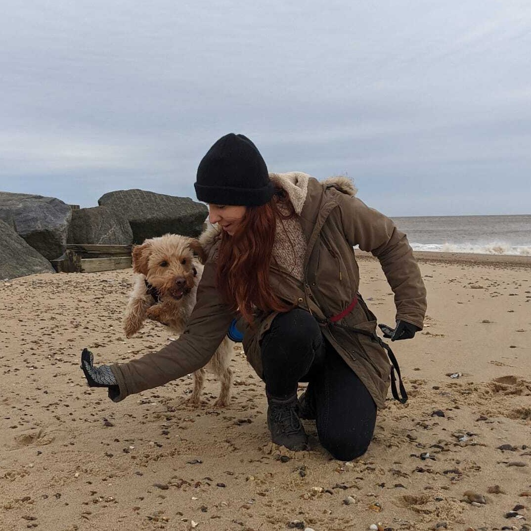 Dog Training in Horsforth Dog Training in Horsforth